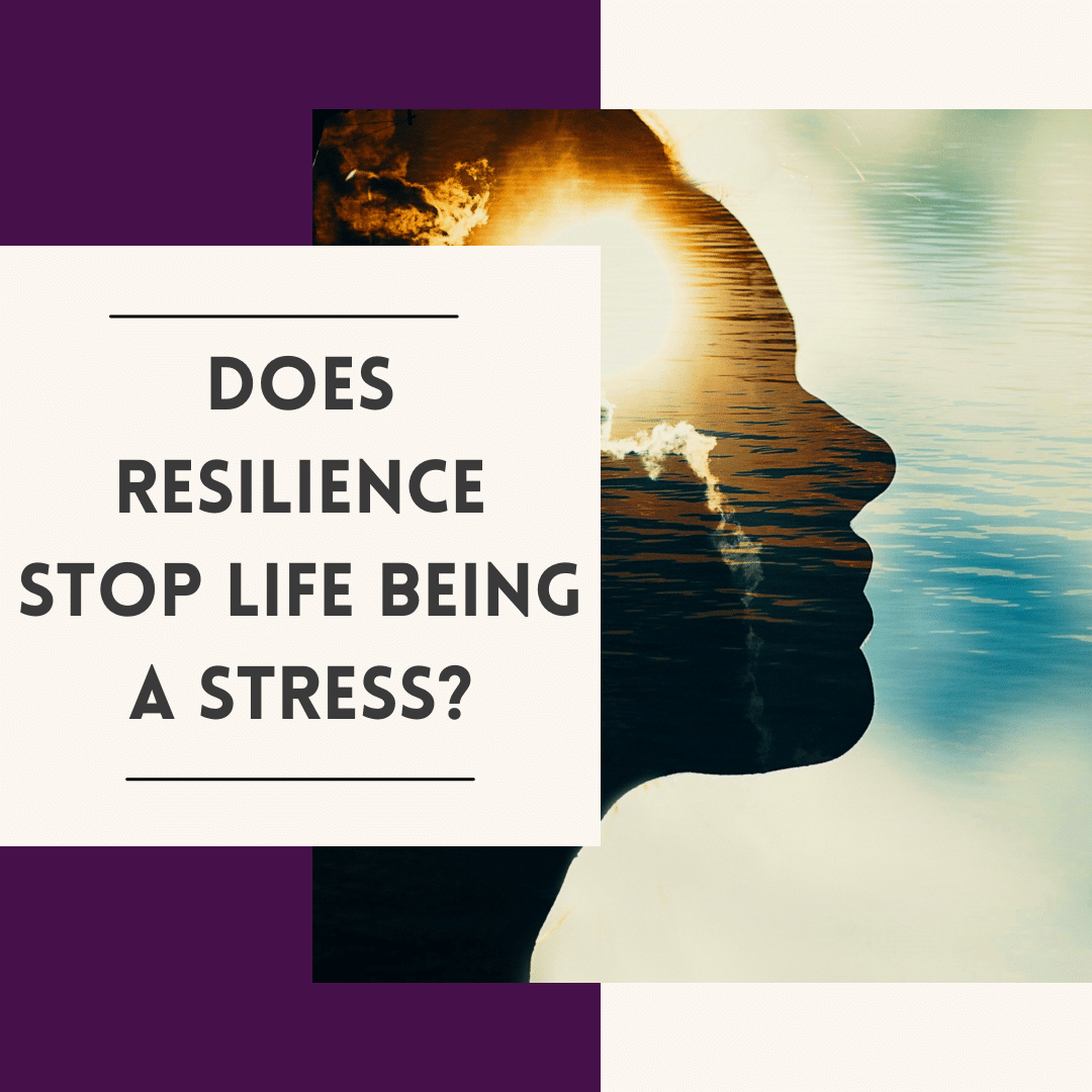 does-real-resilience-stop-life-being-a-stress-real-resilience