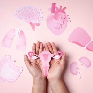 pink menopause image showing what organs can be affected