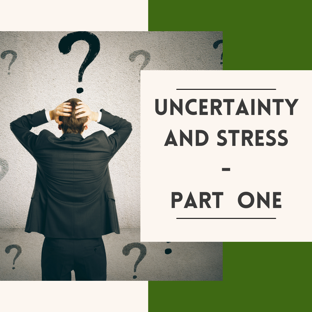 uncertainty-and-stress-part-1-real-resilience